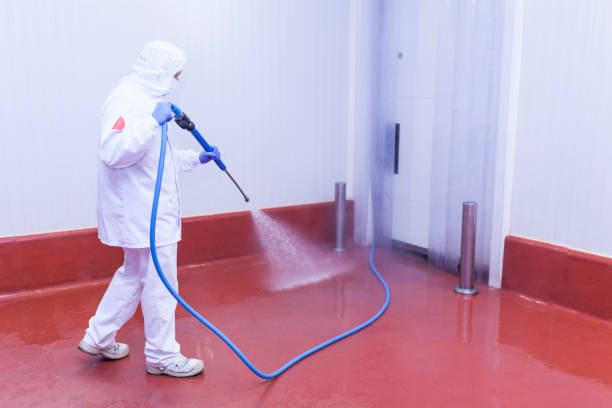 Best Solar Panel Cleaning  in Mante, CA